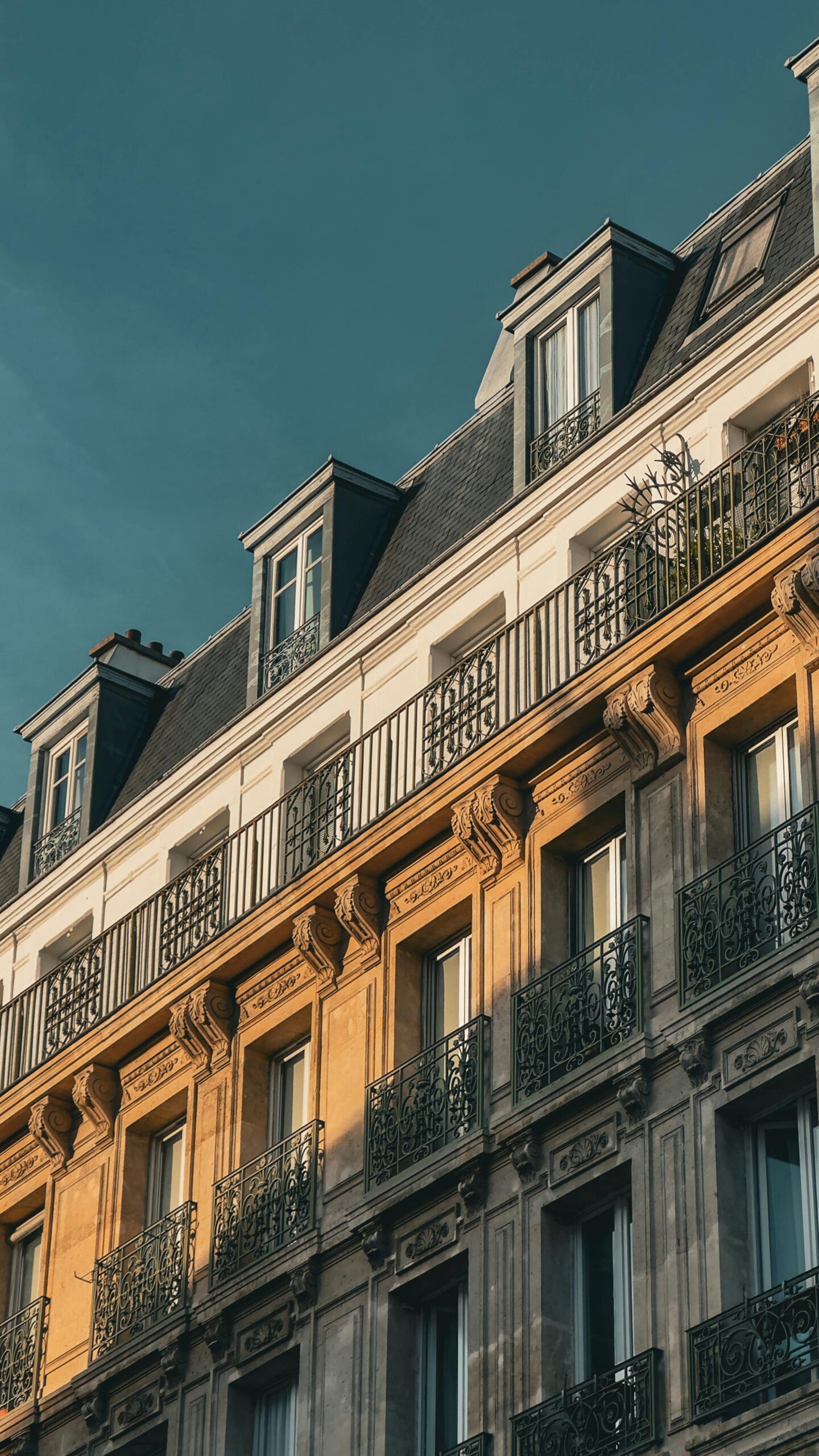 L’impact ESG : un levier décisif pour les PME à la recherche de financements et d’aides publiques